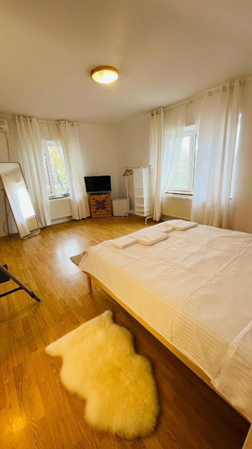 발로테슈티 Biolocalia House Dobrogea 아파트 외부 사진